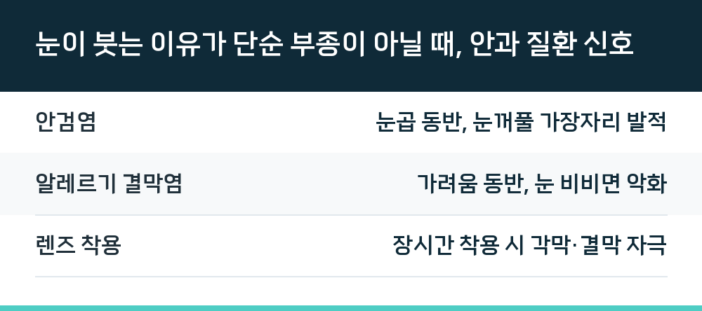 눈이 붓는 이유가 단순 부종이 아닐 때, 안과 질환 신호