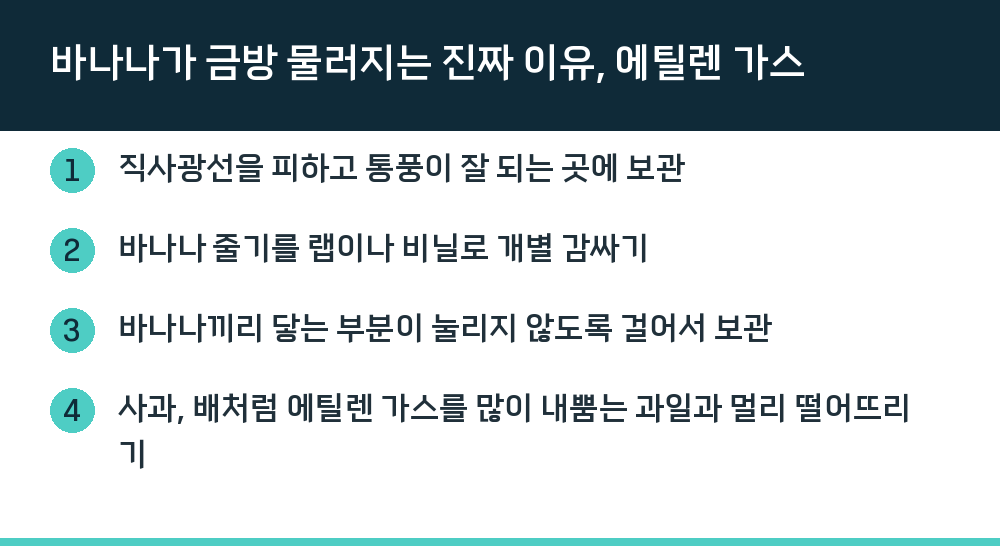 바나나가 금방 물러지는 진짜 이유, 에틸렌 가스