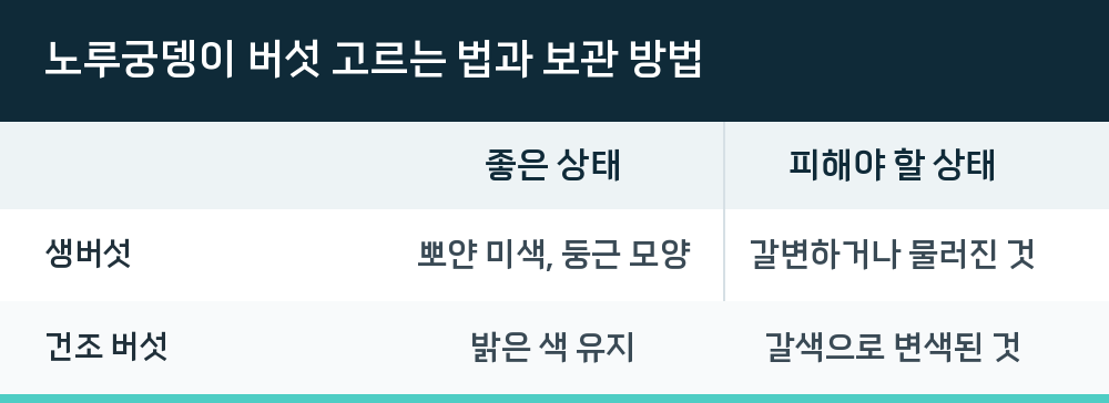 노루궁뎅이 버섯 고르는 법과 보관 방법
