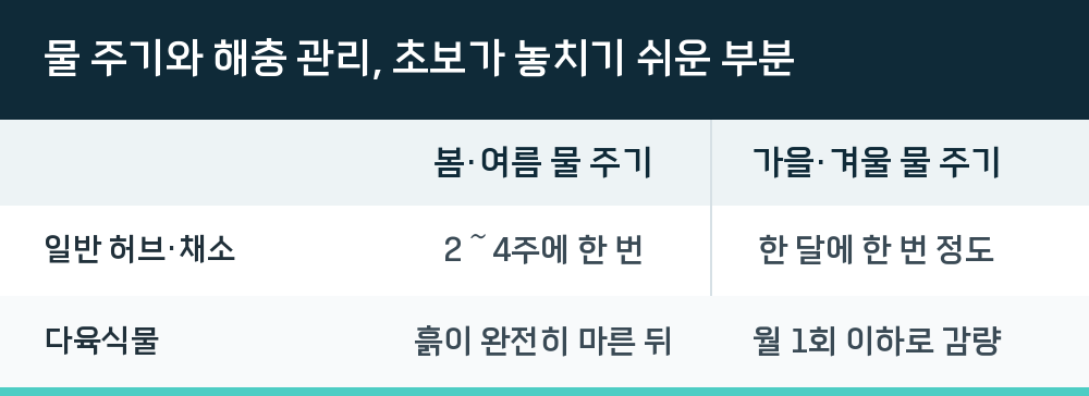 물 주기와 해충 관리, 초보가 놓치기 쉬운 부분