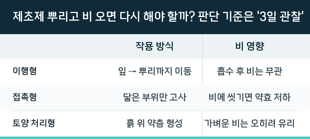 제초제 뿌리고 비 오면 다시 해야 할까? 판단 기준은 '3일 관찰'