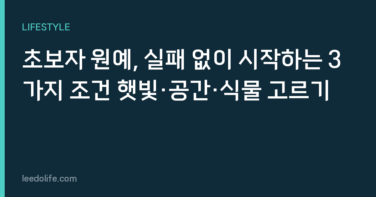 초보자 원예, 실패 없이 시작하는 3가지 조건 햇빛·공간·식물 고르기