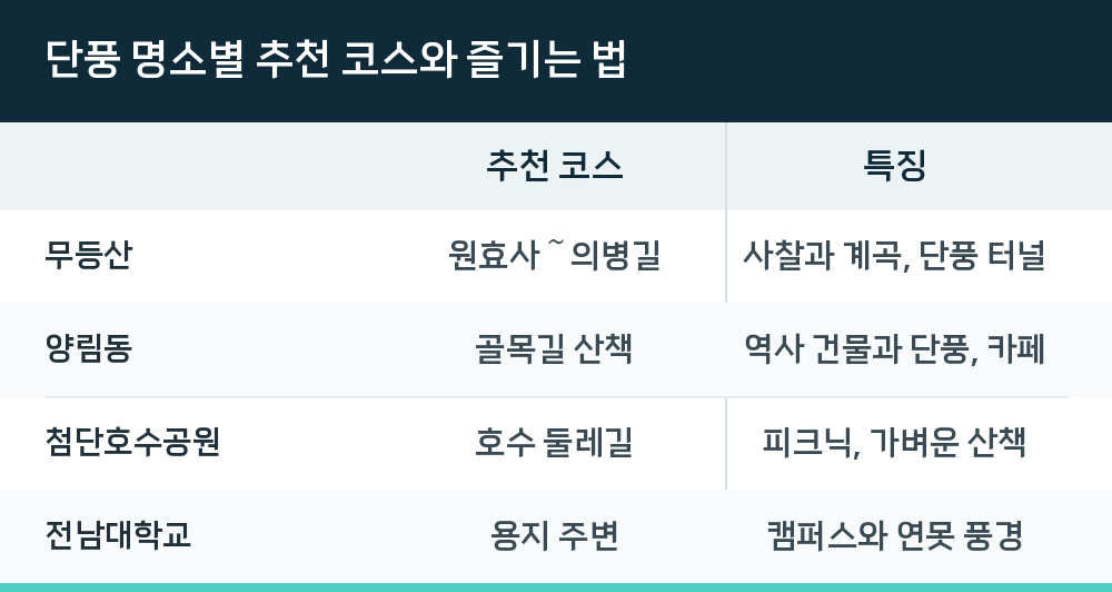 단풍 명소별 추천 코스와 즐기는 법
