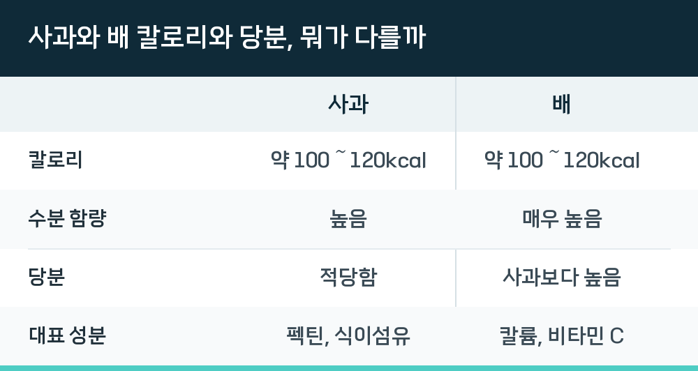 사과와 배 칼로리와 당분, 뭐가 다를까