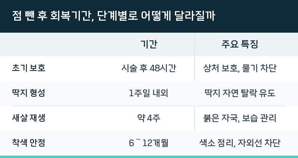 점 뺀 후 회복기간, 단계별로 어떻게 달라질까