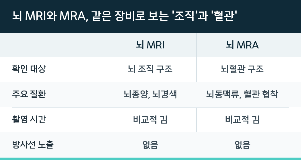 뇌 MRI와 MRA, 같은 장비로 보는 '조직'과 '혈관'
