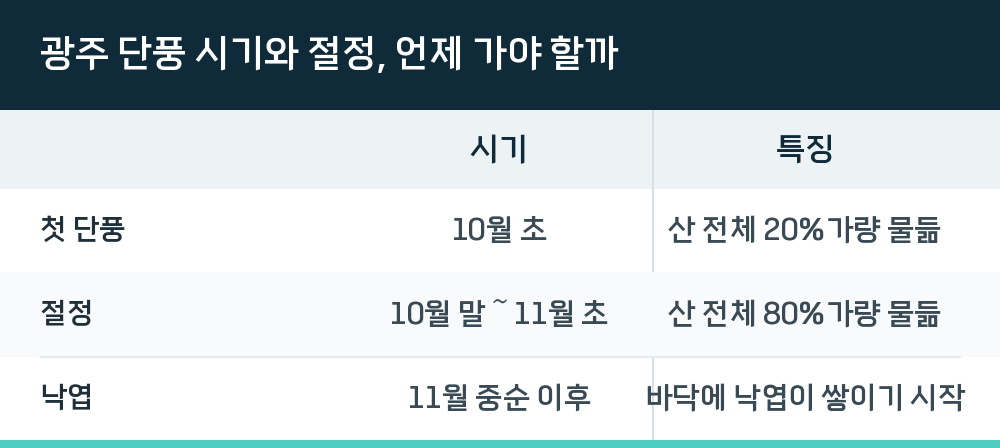 광주 단풍 시기와 절정, 언제 가야 할까