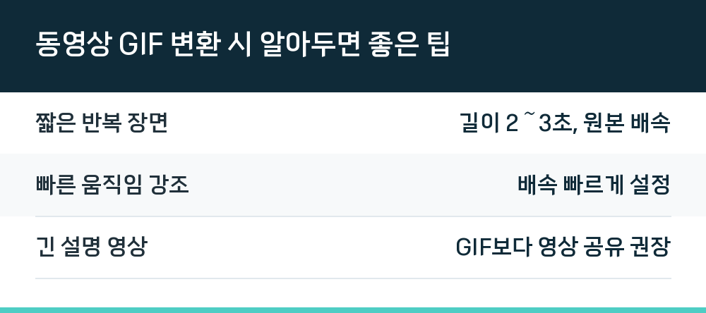동영상 GIF 변환 시 알아두면 좋은 팁